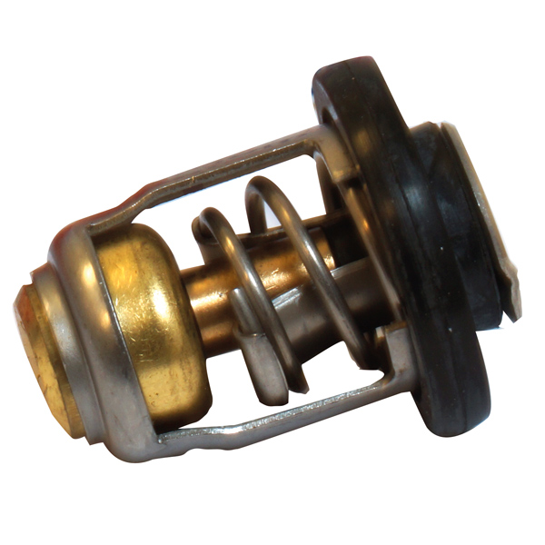 Termostat til mercury mfs8 mfs30